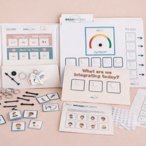 BrainWorks Therapist Printed Kit