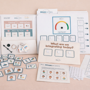 BrainWorks Single Printed Kit